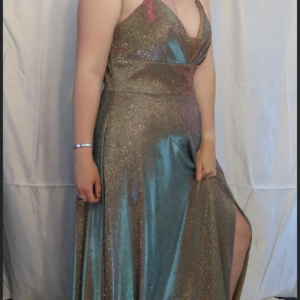 Sparkly Prom Dress