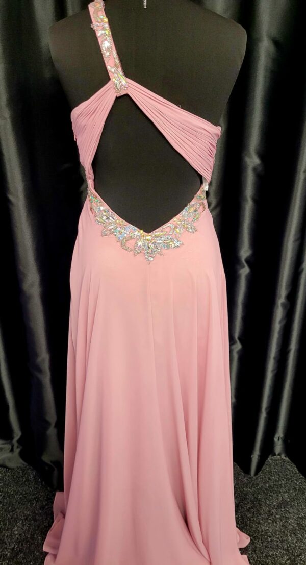 62023 Pink Rose Dress - Image 3