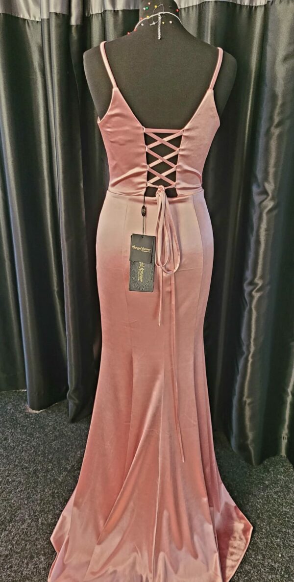 AF32220 Pearl Rose Dress - Image 3