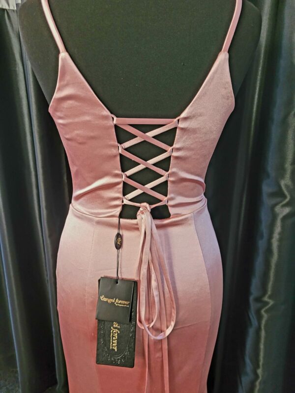 AF32220 Pearl Rose Dress - Image 4