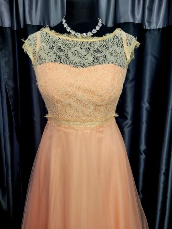 CBCARLY Peach Dress