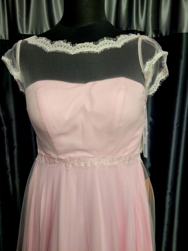 CBBABYBLUE Baby Blue Dress - Image 5