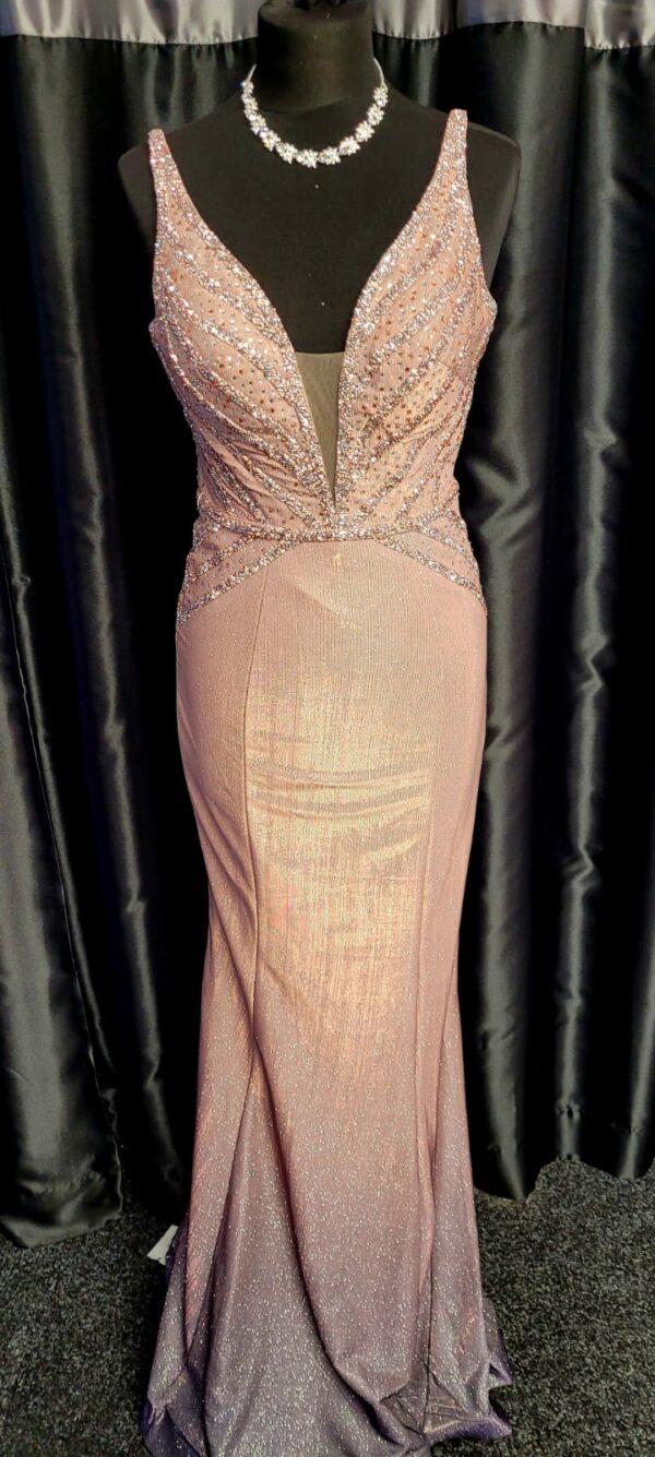 K20023 Champagne/Gold Dress - Image 2