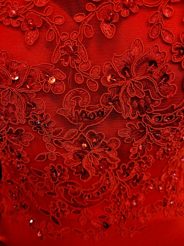 PF6 Red Dress - Image 3