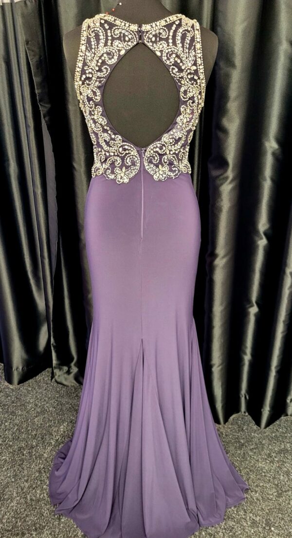 PF9480 Plum/Slate Dress - Image 3