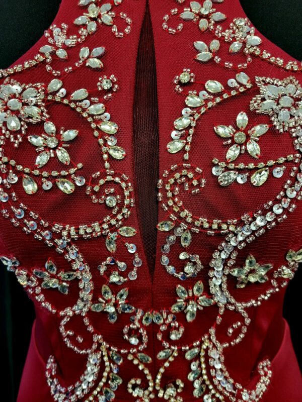 PF9513 Red Dress - Image 4