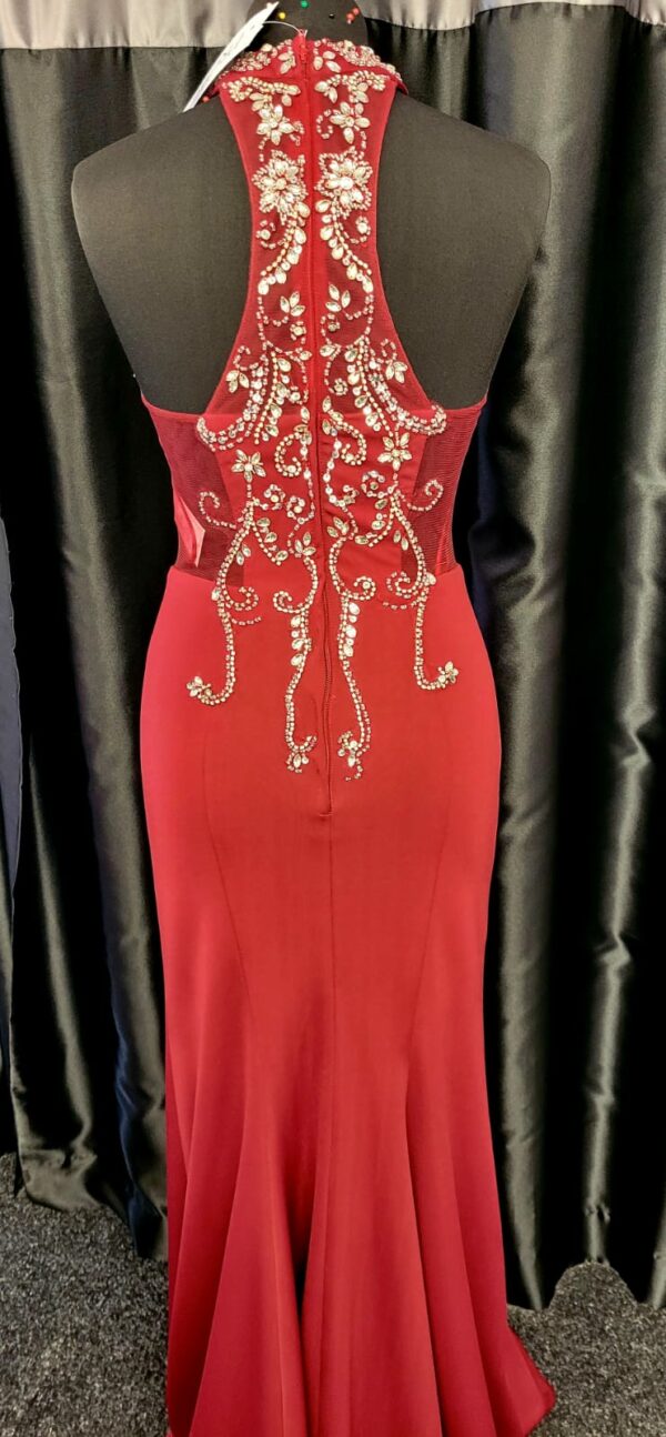 PF9513 Red Dress - Image 3