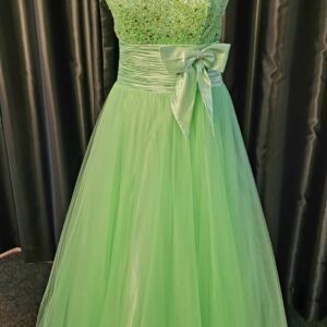 Apple Green Long Dress Size 6 WAS: £175  NOW: £85!