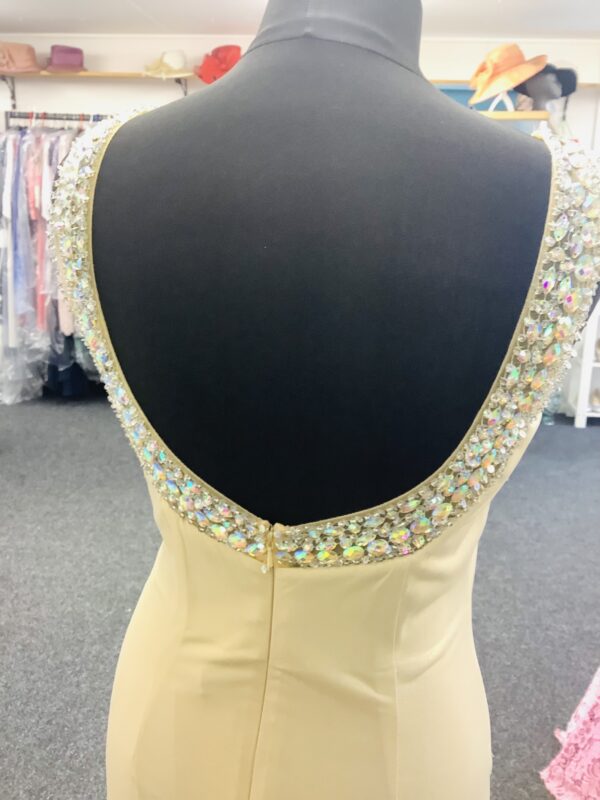 Gold Embellished Evening Dress with gems